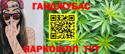 прущие грибы Будённовск