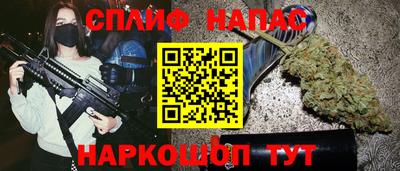 прущие грибы Будённовск