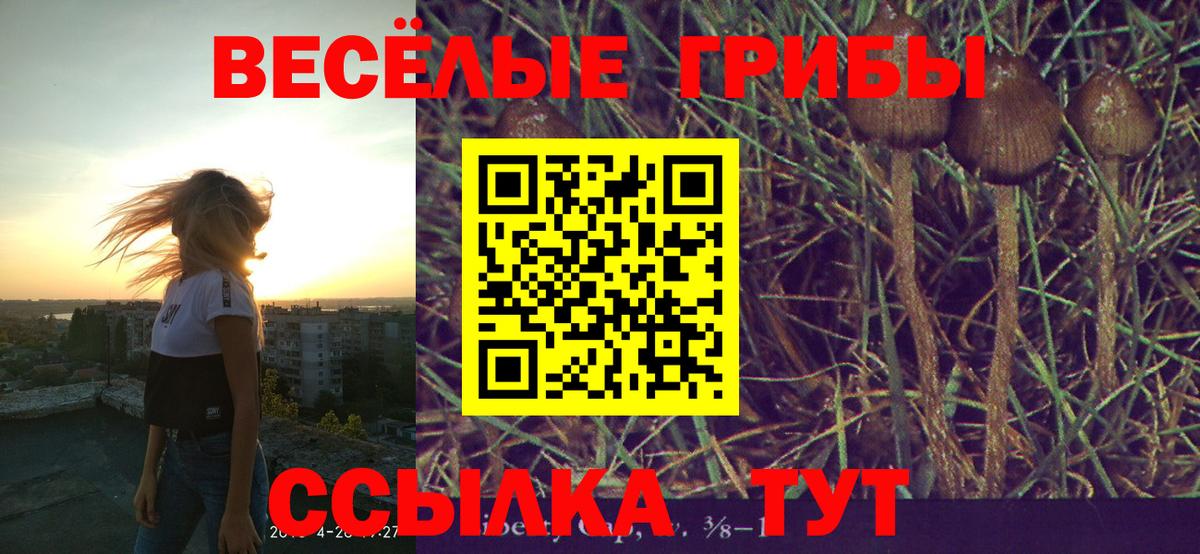 Галлюциногенные грибы мухоморы  Вход с VPN  Ртищево 