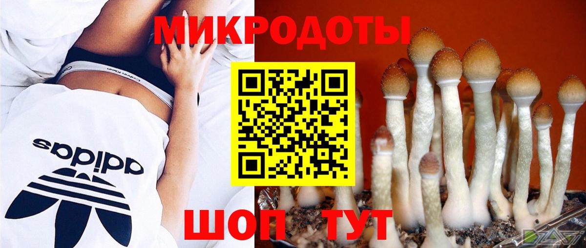 Псилоцибиновые грибы мицелий Ртищево